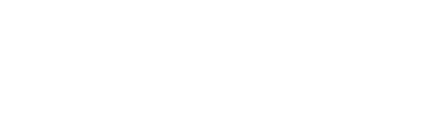 CEMI